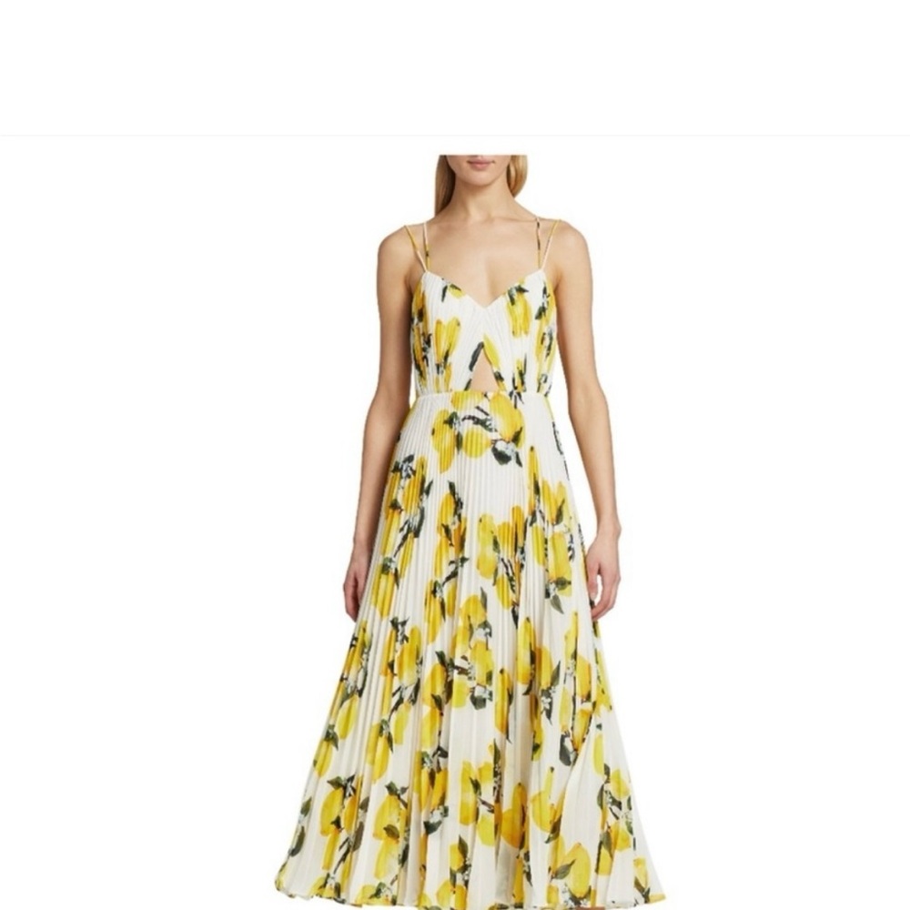 NWT Amur Floral Yellow Maxi Dress